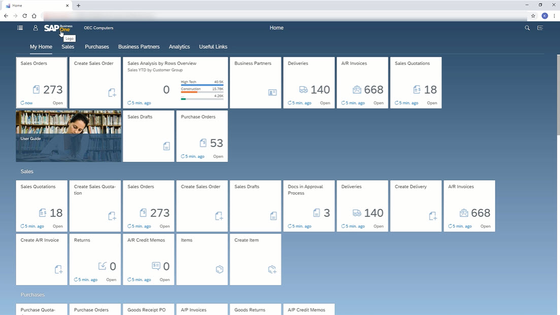 SAP Business One Web Client Interface